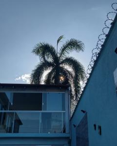 乌巴图巴Pousada Sol & Mar的一座带窗户的建筑前的棕榈树