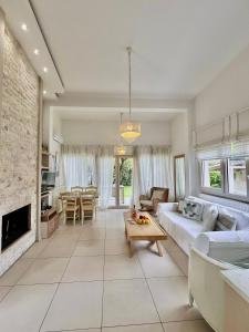 斯卡拉拉乔伊Olive Dream Thassos Luxury Villas的带沙发和壁炉的客厅