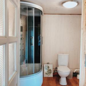 RootsikülaKihnu home - Sepa talu的带淋浴和卫生间的浴室