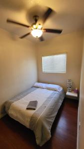 凤凰城U1 - Entire 2 BR Pet Friendly APT in DT PHX with pkg的一间卧室配有吊扇和一张床