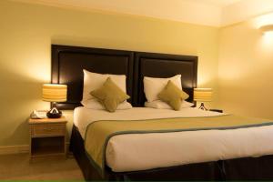 埃文河畔斯特拉特福The Limes Hotel的酒店客房设有一张大床和两盏灯