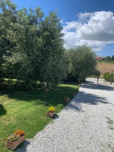 Montalto delle MarcheAgriturismo cerquatonda B&B的草上种植了两盆植物的花园