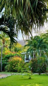 科克Hotel Villa Del Sol的棕榈树和鲜花花园中的房屋