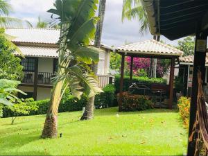 劳鲁-迪弗雷塔斯萨尔瓦多乐园酒店的一个带凉亭和棕榈树的庭院