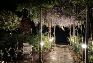 富士河口湖兰波旅馆的花园,晚上从凉棚上挂上紫藤