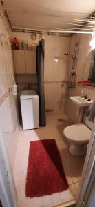 瓦萨Furnished 2 room appartment in Vasa的一间带卫生间和水槽的浴室以及红色地毯。