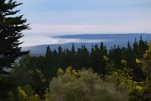 ChancoCasa de Campo con vista al mar的远处树木和云层的景色