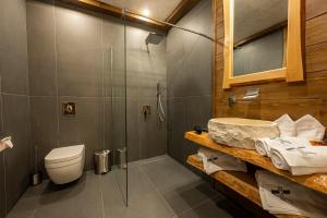 韦林格勒V Chalet Residence的带淋浴、卫生间和盥洗盆的浴室