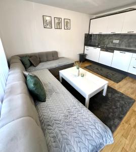 拉克塔希Apartman Lara Laktasi的客厅配有沙发和桌子