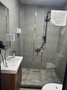迪亚巴克尔Sur Central Hotel的带淋浴和盥洗盆的浴室