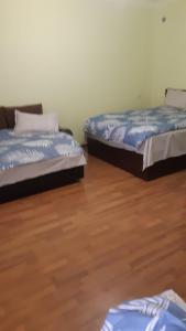 AreniLuiza Guest House的铺有木地板的客房内的两张床