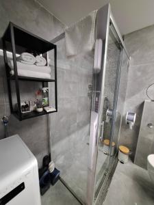萨拉热窝Apartman Orhideja with Free Parking的带淋浴和盥洗盆的浴室