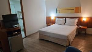 圣保罗Hotel Live Logde Vila Mariana Pq Ibirapuera UH-511的配有一张床和一台平面电视的酒店客房