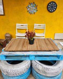 马尔特维利Cha Cha Backpackers的木桌,两把椅子,一盆花在轮胎上