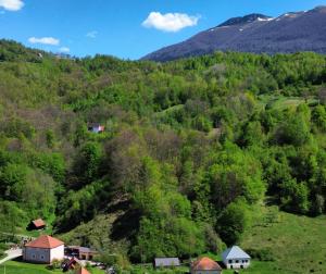 莫伊科瓦茨Ethno Village Adžić的享有山丘美景,山丘上拥有房屋和树木