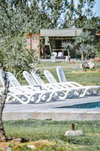 迈普Vista Chachingo Lodge的一组坐在泳池旁的白色椅子