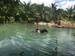 贡布Tiki garden的水中骑马的女人