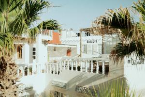 索维拉巴拉丁摩洛哥传统庭院住宅的一座白色的建筑,前面有棕榈树