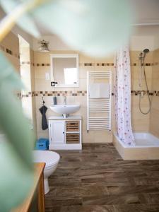 TagyonPipacs Apartman的浴室配有盥洗盆、卫生间和浴缸。