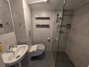 伊萨菲尔德The Ísafjörður Inn的带淋浴、盥洗盆和卫生间的浴室