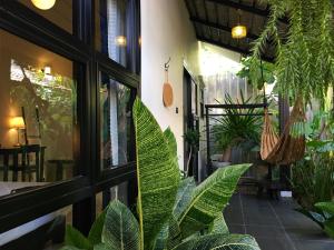 清迈Su Kho Rom always home ศุโขรมย์ - Adults Only的一间植物繁多的房间和一个窗口
