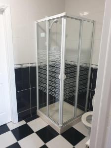 香农河畔卡里克Hillside Residence的一间带卫生间的浴室内的玻璃淋浴间