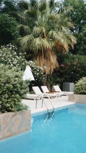门多萨门多萨柏悦水疗赌场酒店的一个带2把躺椅和棕榈树的游泳池