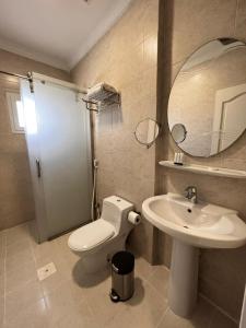 安曼Queen Apartment的一间带卫生间、水槽和镜子的浴室