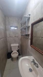 坦皮科Casa Champaya的一间带卫生间、水槽和镜子的浴室
