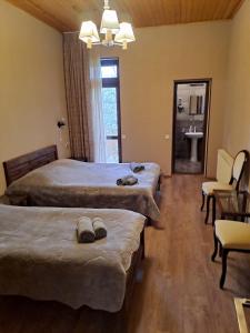 梅斯蒂亚卡尔达尼民宿的酒店客房设有两张床和盥洗盆