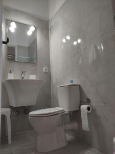 皮索利瓦迪Paradise Garden Paros的浴室配有白色卫生间和盥洗盆。