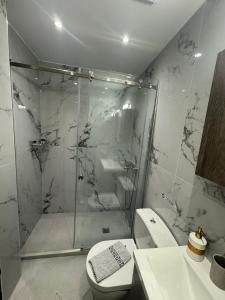 斯基亚索斯镇reAdy studio的带淋浴、卫生间和盥洗盆的浴室