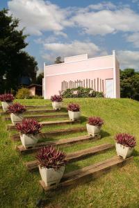 圣代佩德罗Pousada Sonho do Campo的一群盆栽植物,在建筑物前面的台阶上