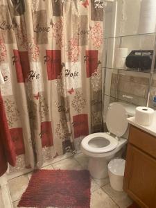 布鲁克帕克A Classy Uneic Peace的一间带卫生间和淋浴帘的浴室
