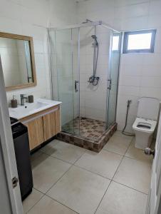格兰高伯Blissful Abode GV的带淋浴、盥洗盆和卫生间的浴室