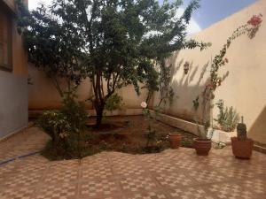 乌季达Villa haydi的庭院里种着一棵树和一些盆栽植物