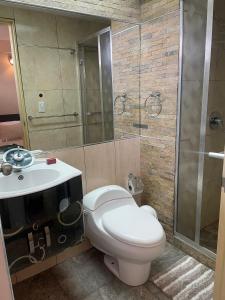 MéridaApartamento tipo estudio的浴室配有卫生间、盥洗盆和淋浴。