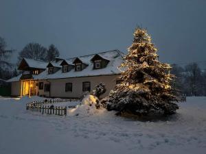 Wola MichowaChatka Wagabundy的雪中一棵圣诞树,在房子前面