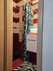 埃特尔布吕克Chambre privé dans belle maison 2的浴室配有带水槽和淋浴的衣柜。