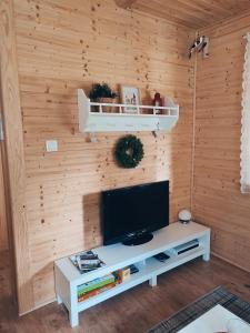 米卢夫卡Smrekowa Chatka w Milówce的客厅设有木墙,配有电视。