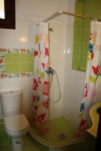 卡斯托里亚Κατάλυμα στην Καστοριά的一间带卫生间和淋浴帘的浴室