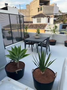 格拉纳迪利亚德亚沃纳Plaza de la fuente Granadilla de Abona Tenerife sur Only Adults con terraza privada的屋顶上种有桌子和盆栽植物的庭院