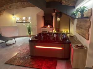 采列Villa Ariya Luxury Apartments & Spa Celje的客房内的厨房配有炉灶烤箱