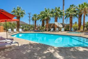 棕榈泉棕榈泉贝斯特韦斯特酒店的一座棕榈树和红伞游泳池