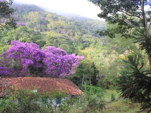 欧鲁普雷图Chalé na floresta com varanda的紫色的山和前沿的房屋