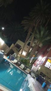 马拉喀什Maison linda的两个棕榈树,晚上在游泳池旁边