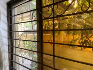 伊斯兰堡E Lodge的享有植物景致的窗户