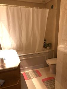 里斯本Apartamento Lisboa的浴室配有白色的浴帘和卫生间
