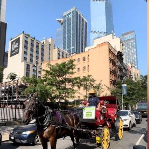 纽约Hudson Yard 408的骑着马车在城市街道上的人