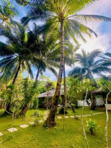 爱妮岛爱妮岛可可度假村的一群棕榈树在房子前面